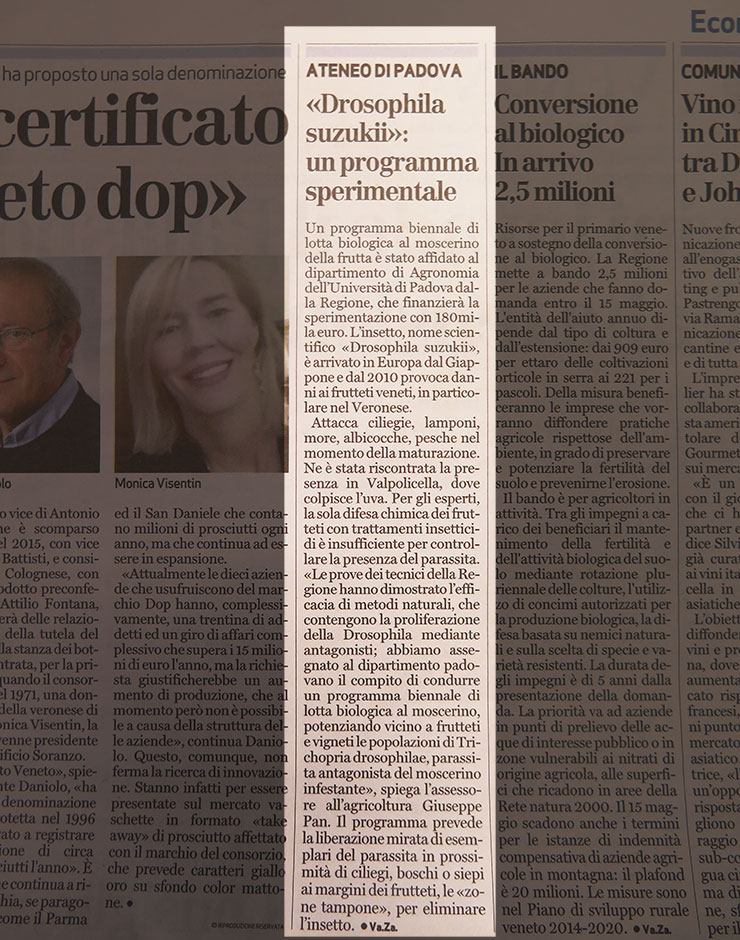 Articolo dell'Arena di Verona del 26/04/2017 Articolo dell'Arena di Verona del 26/04/2017