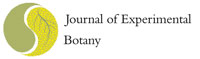 Journal of Experimental Botany 
