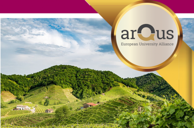Collegamento a Massive Open Online Course MOOC-Prosecco vincitore dell'ArQus UNIPD Teaching Excellence Award