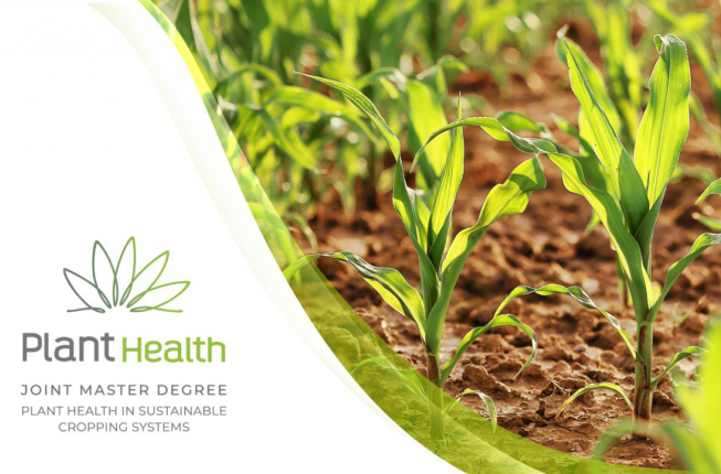 Collegamento a Master Europeo “Plant Health in Sustainable Cropping Systems (PlantHealth)”