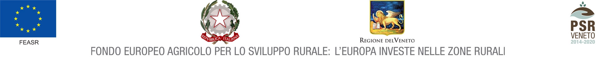 Fondo europeo agricolo per lo sviluppo rurale: l'Europa investe nelle zone rurali 