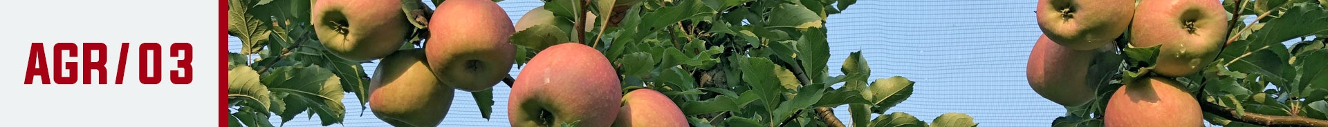 AGR/03 AGR/03